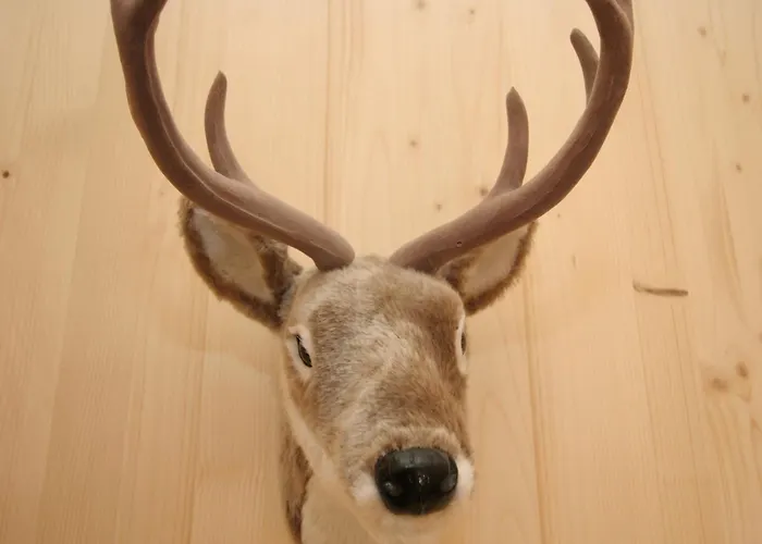 Σαλέ Chalet In Hohentauern Direkt Im Skigebiet *