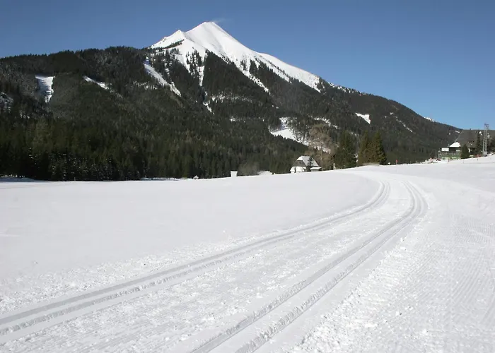 Chalet In Direkt Im Skigebiet *